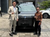 Denza BSD City (15)