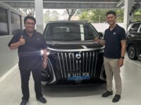 Denza BSD City (16)