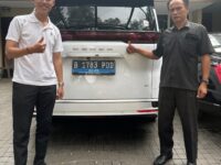 Denza BSD City (3)