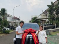 Denza BSD City (8)